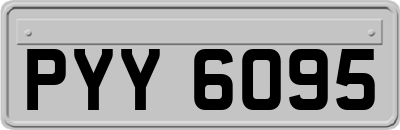 PYY6095