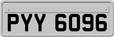 PYY6096