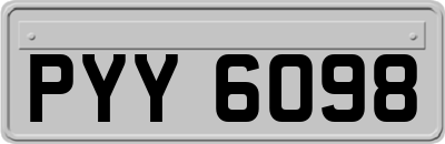 PYY6098