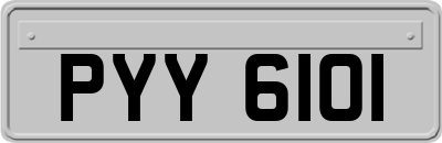 PYY6101