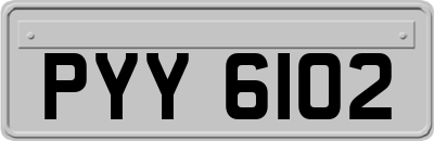 PYY6102