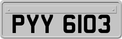 PYY6103