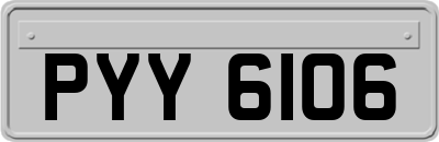 PYY6106