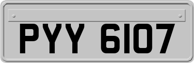 PYY6107