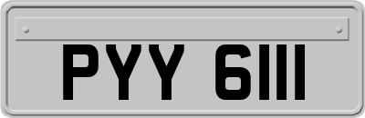 PYY6111