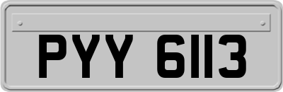 PYY6113