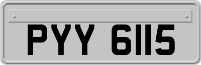 PYY6115