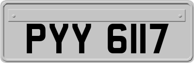 PYY6117