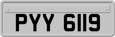 PYY6119