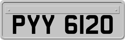 PYY6120