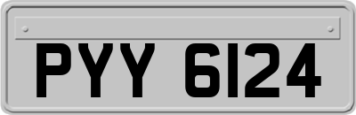 PYY6124