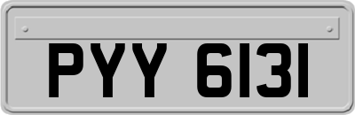 PYY6131