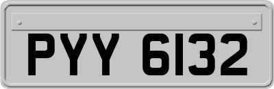 PYY6132