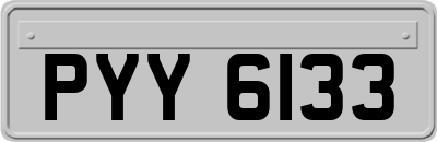 PYY6133