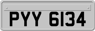 PYY6134