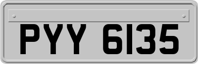 PYY6135