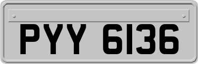 PYY6136