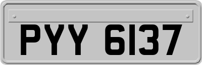 PYY6137