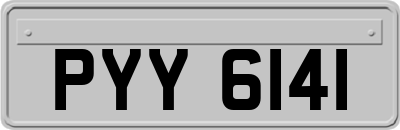 PYY6141