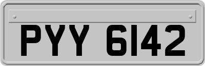 PYY6142