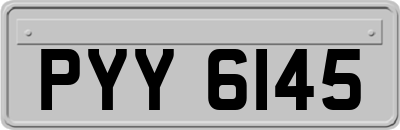 PYY6145