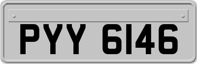PYY6146