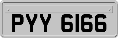PYY6166
