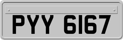 PYY6167