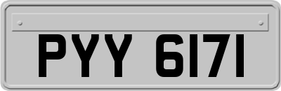 PYY6171