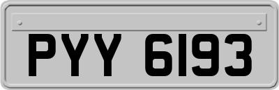 PYY6193
