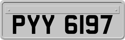 PYY6197