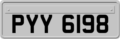 PYY6198