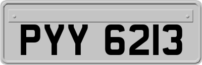 PYY6213