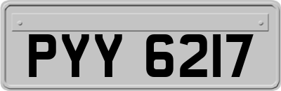 PYY6217