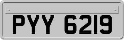 PYY6219
