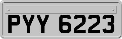 PYY6223