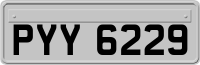 PYY6229