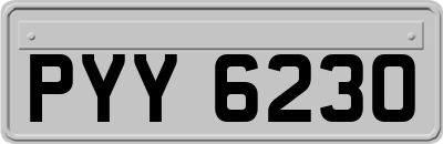 PYY6230