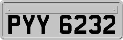 PYY6232