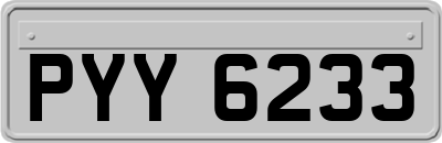 PYY6233