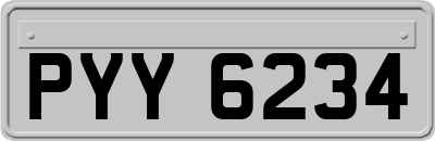 PYY6234