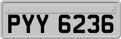 PYY6236