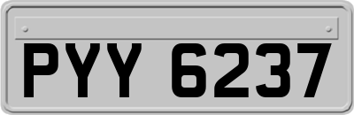 PYY6237