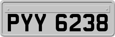 PYY6238