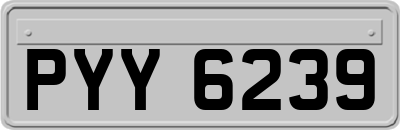 PYY6239