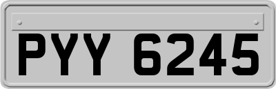 PYY6245