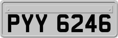 PYY6246