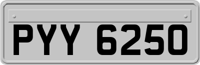 PYY6250