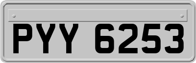 PYY6253
