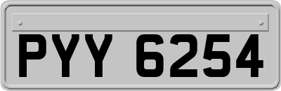 PYY6254